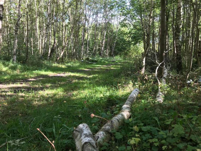 Enjoy Natur, See Und Meer Chalet Lauwersoog- 1-6 Pers- 3 Schlafzimmer, 2 Badezimmer- Fruehes Einchecken Ab 14 Uhr Экстерьер фото